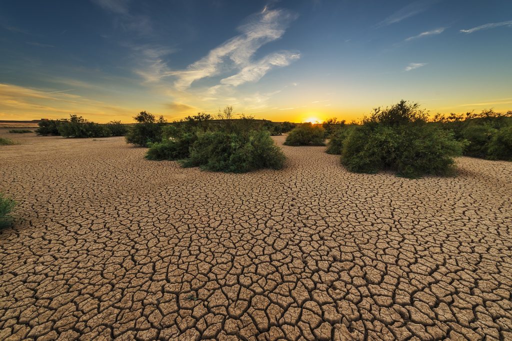 Risparmiare acqua preziosa e scarsa - Terreno arido durante la siccità
