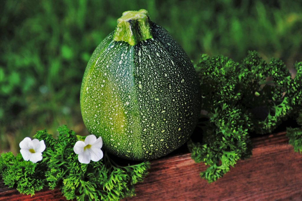 Lista per mese di frutta e verdura di stagione - Zucchina tonda verde